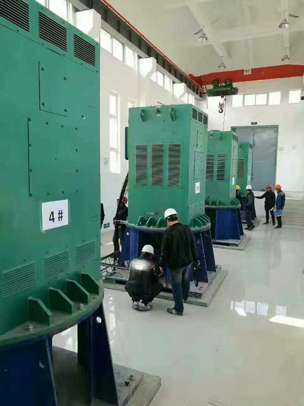 仲巴某污水处理厂使用我厂的立式高压电机安装现场